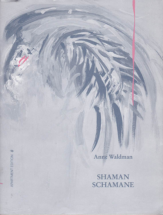 shaman shamane bob dylan book in German