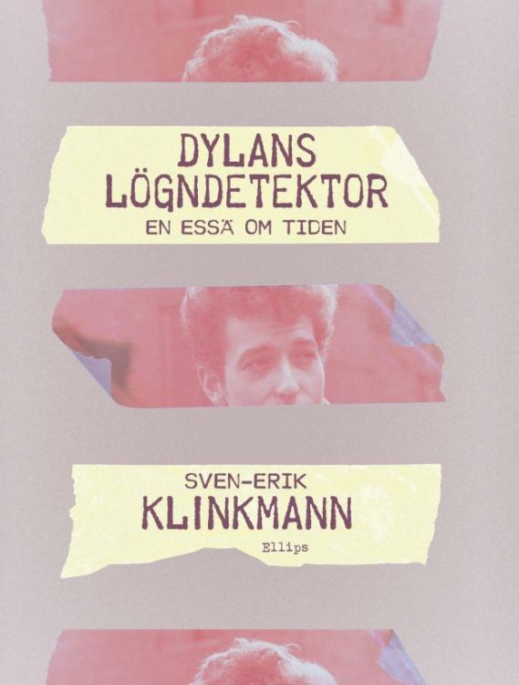 dylans lögndetektor book in Swedish