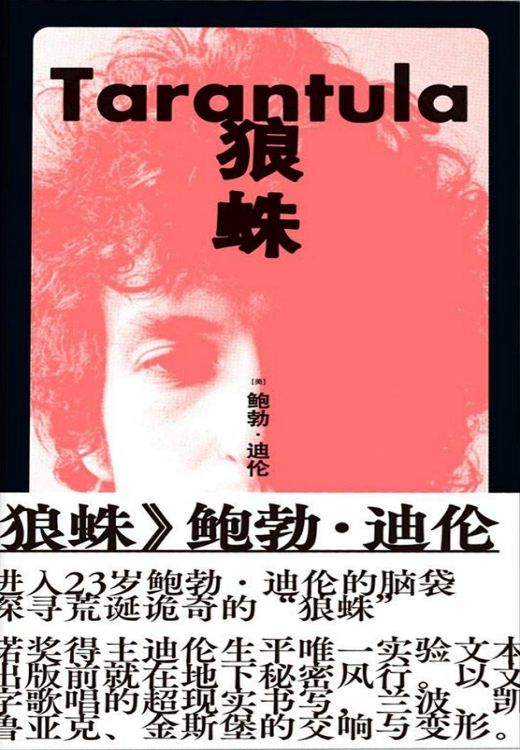 Tarantula Dylan book in Chinese