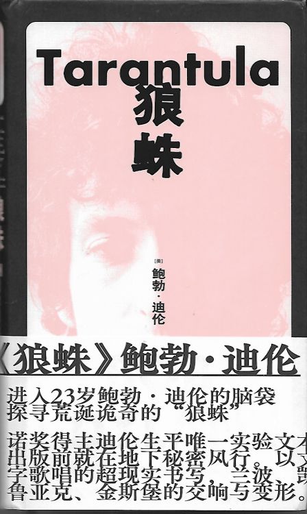 Tarantula Dylan book in Chinese