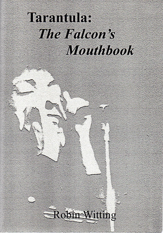 tarantula the falcon's mouthbook Bob Dylan book