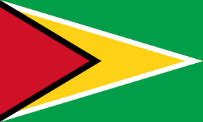 flag guyana