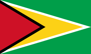 flag Guyana