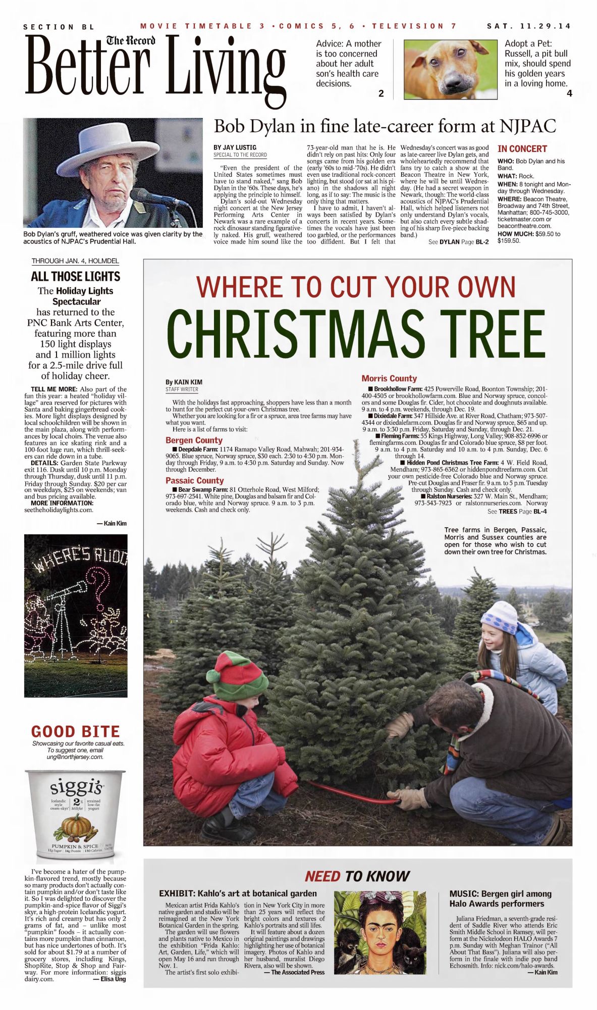 Record North Jersey Bob Dylan front cover