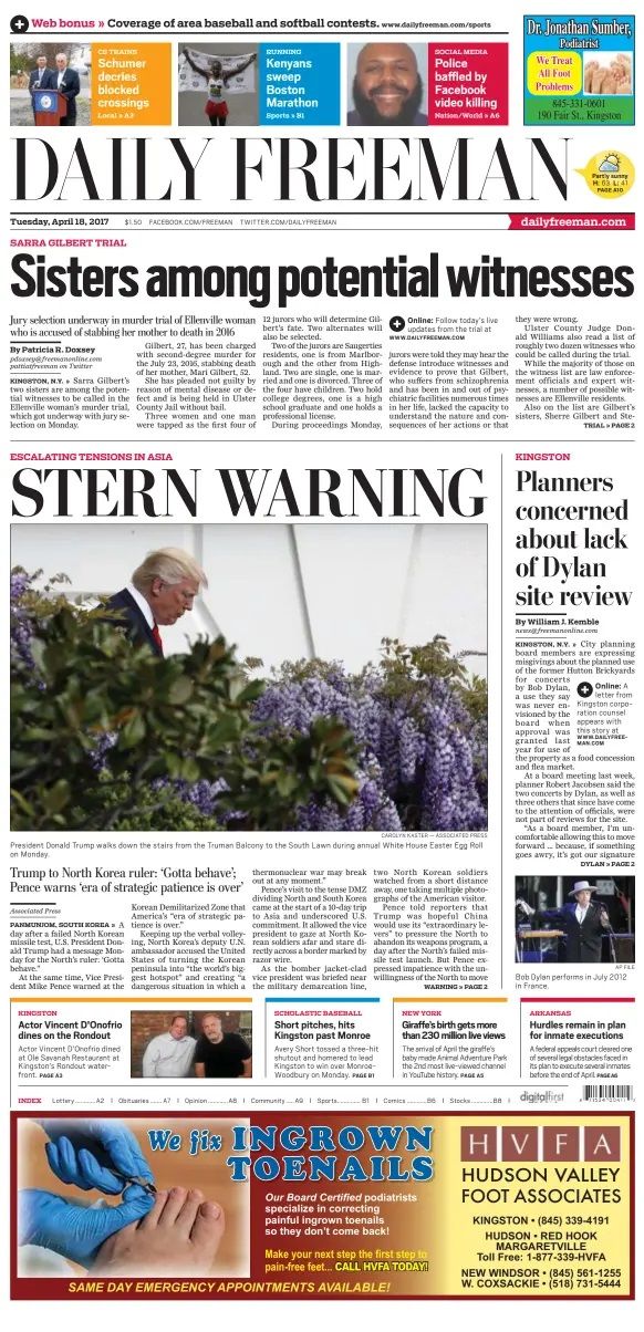 daily freeman Bob Dylan front cover